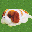 ヨーゼフ